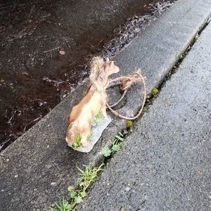 Meet your Posher, Sean